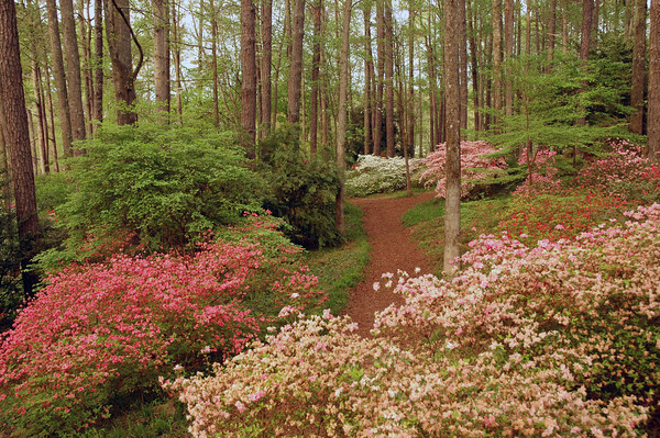 Callaway Gardens